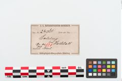 Etiketten zu Bronzezweiknopffibel (NHMW-PRAE-024061)